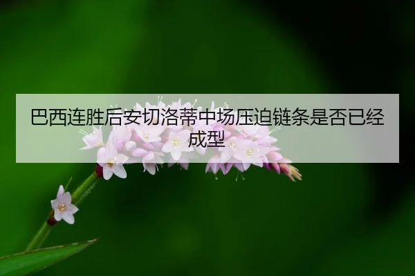 巴西连胜后安切洛蒂中场压迫链条是否已经成型