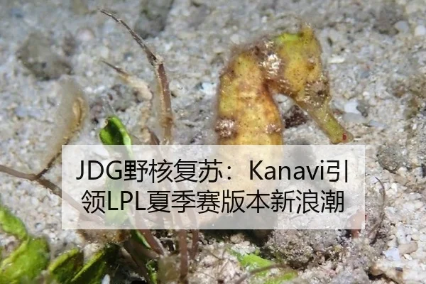 JDG野核复苏：Kanavi引领LPL夏季赛版本新浪潮
